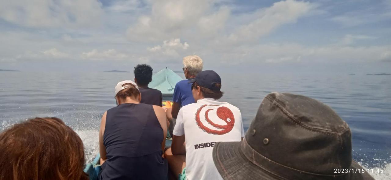 Arborek Diving Homestay R4 Besir Buitenkant foto